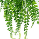 thumbnail image 3 of Plantas artificiales 5 uds boston fern colgantes, 3 of 3