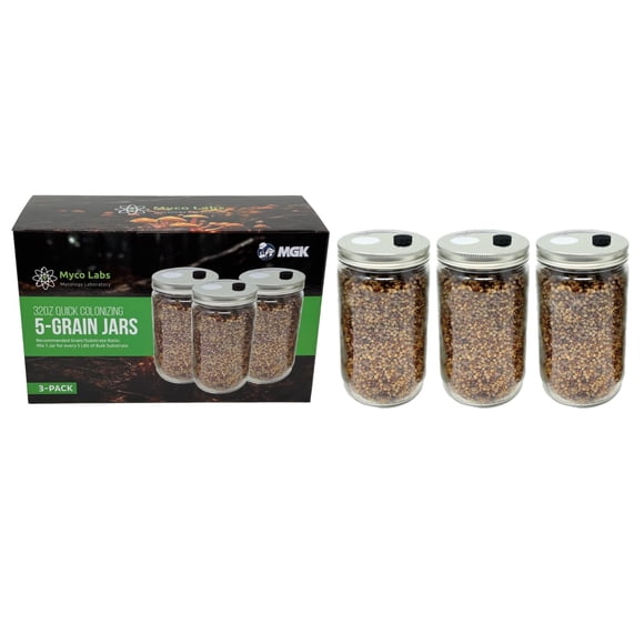 Frascos De Micelio Para Hongos De 32 Oz Paquete De 3 5 Granos