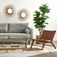 thumbnail image 2 of FICUS LYRATA 175 cm, 2 of 3