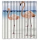 thumbnail image 1 of Cortina de ducha de flamencos, juego de cortina de baño con ganchos, tamaño 60 x 72 pulgadas, 1 of 3