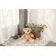 thumbnail image 3 of Oso de peluche Study Animals Toys Studio, paquete de 3 unidades, 35 cm, color marrón claro, 3 of 3