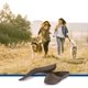 thumbnail image 3 of Plantilla Corefit Orthotics de 3/4 de longitud, gris, para mujer, 3 of 9