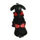 thumbnail image 3 of Disfraz de Halloween para Perros con Capucha, 3 of 5