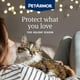 thumbnail image 2 of Prevención de pulgas y garrapatas para gatos PetArmor Plus, 3 dosis, 2 of 9