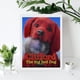 thumbnail image 4 of Clifford, el Gran Perro Rojo Kits de Pintura de Diamantes para Adultos 5D DIY Diamond Art Kits Full Drill Diamond Dots para Regalo Decoración de Pared y Relajación Artes de Gemas 30*40cm, 4 of 6