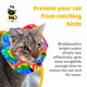 thumbnail image 2 of Juego de cubierta y collar para gato Birdsbesafe, 2 of 9
