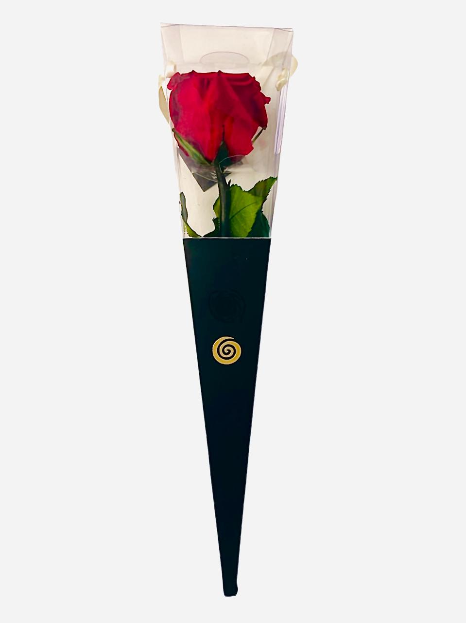 Allpa-Roseamor - Cono Con Rosa Preservada Natural 30Cm Con Fragancia Rojo