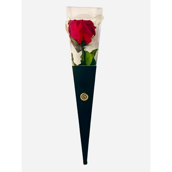 Cono Con Rosa Preservada Natural 30cm Con Fragancia Rojo