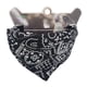 thumbnail image 1 of Bandana Negra para Mascota 13*17cm, 1 of 3