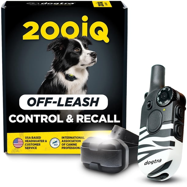 Collar de Entrenamiento Dogtra 200iQ – Alcance de 1/2 milla (≈0,8 km) – Edición Zebra