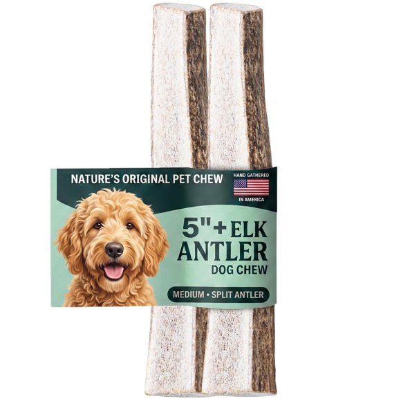 Mordedor para Perro Mountain Valley Antlers Cuerno de Alce Dividido 2 Unidades Talla M