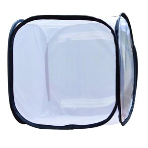 Bothyi - Jaula Para Insectos Y Mariposas Para Observación De La Naturaleza, Cría De Insectos Mantis