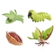 thumbnail image 4 of Figuritas De Ciclo De Vida, Juguete Cognitivo Temprano, Juguete De Ciencia Para Niños En Edad Preescolar, 4 of 5