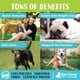 thumbnail image 3 of Aceite de coco Raw Paws Organic Virgin para perros y gatos 240 ml, 3 of 5