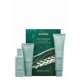 thumbnail image 4 of AVEDA scalp solutions scalp care essentials gift set, 4 of 4