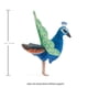 thumbnail image 5 of Finger Puppet Folkmanis Mini Peacock para niños, 10 cm, 5 of 5