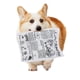 thumbnail image 3 of Juguete para perro UtySty pack de 3, 26 × 18,5 cm, papel crujiente, lavable, 3 of 6