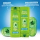 thumbnail image 4 of Shampoo Fructis Frescura Vitaminada Botella, 350 ml, 4 of 8