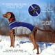thumbnail image 3 of Abrigo para perro FUAMEY Chaqueta de invierno impermeable a prueba de viento azul S, 3 of 3