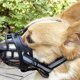thumbnail image 3 of Dog Muzzles Adjustable Breathable Biting Chewing Barking Training Dog Mask For Small Medium Large Dogs, Safety Mouth Dog Muzzle For Small Medium Large Dogs, 3 of 3