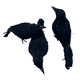 thumbnail image 2 of Pack 3 Cuervos Realista Emplumado Negro Halloween 2025, 2 of 6