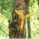 thumbnail image 3 of Alimentador para ardillas Woodlink Squirrel Spin, 3 of 5