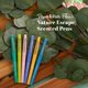 thumbnail image 3 of Bolígrafos con punta de fieltro Paper Mate Flair Nature Escape, 16 unidades, 3 of 6