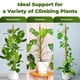 thumbnail image 3 of Juego de 2 postes flexibles para plantas Sproot de 71 cm con estaca de anclaje, 3 of 6
