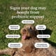 thumbnail image 4 of Probióticos Co Para Perros Grandes Sabor Cerdo 30 Masticables, 4 of 7