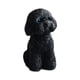 thumbnail image 3 of Dog Miniature Figurine Mini Estatua De Animales Para La Sala De Estar De La Habitación Sala De Estar En Cuclillas Negras, 3 of 5
