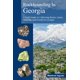 thumbnail image 1 of Guía de búsqueda de rocas en Georgia, publicación independiente, 1 of 1
