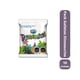 thumbnail image 1 of Pack de 10 Galletas Mini Dinosaurio 35 grs, 1 of 1