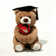 thumbnail image 2 of Oso de Peluche de Graduación con Sombrero y Flores, Lindo Oso Doctor de Peluche Regalo de Graduación, 2 of 6