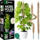 thumbnail image 1 of Soporte para plantas Moss Pole Monstera, 70 cm, flexible, paquete de 2 unidades, K-Brands, 1 of 6