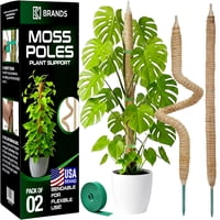 Soporte Para Plantas Moss Pole Monstera, 70 Cm, Flexible, Paquete De 2 Unidades, K-Brands