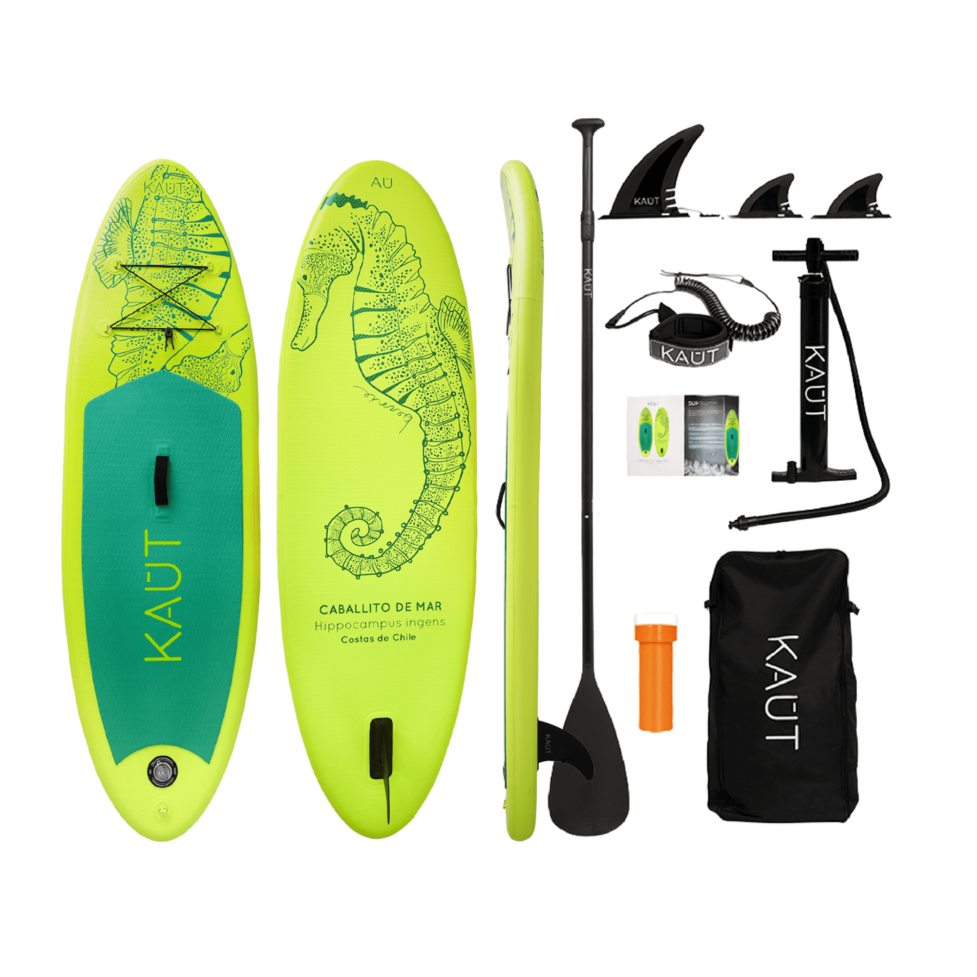 Kaut - Stand Up Paddle (sup) Inflable Capa Reforzada Kids Caballito De Mar- 8' Pies / 244 Cm + Mochila & Accesorios + Testdrive Laguna Aculeo