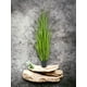 thumbnail image 3 of Pasto Crespo 122cm Artificial, 3 of 3