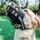 thumbnail image 1 of Dog Muzzles Adjustable Breathable Biting Chewing Barking Training Dog Mask For Small Medium Large Dogs, Safety Mouth Dog Muzzle For Small Medium Large Dogs, 1 of 3