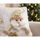 thumbnail image 2 of 2 Fundas Cojin Navidad 45x45 Sin Relleno Santa Perla, 2 of 3