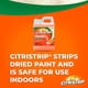 thumbnail image 5 of Gel decapante Citristrip, removedor de pintura y barniz de 1182 ml, 5 of 5