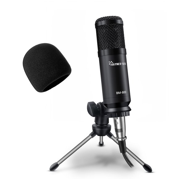 Micrófono de condensador Hayner-Seek L02-50A para estudio