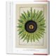 thumbnail image 2 of A Garden Eden. Masterpieces Of Botanical Illustration, 2 of 3