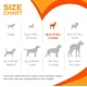 thumbnail image 4 of Juguete masticable Nylabone Original Bone Flexi para perros X-Small, paquete de 3, 4 of 9