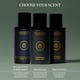 thumbnail image 5 of Body Mist Hardworking Gentlemen Pinewood, 100 ml, para hombre, 5 of 7