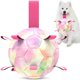 thumbnail image 1 of Balón de fútbol para perros QDAN extra grande y duradero para perros de más de 80 libras, 1 of 7