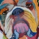 thumbnail image 2 of Cuadro Decorativo Bulldog, 2 of 4