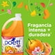 thumbnail image 3 of Limpiador Aromatizante Frescura Cítrica Botella, 4000 ml, 3 of 5