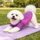 thumbnail image 4 of Playera para perro Pet Life Active Warf-Speed ultraelástica, 4 of 9