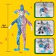 thumbnail image 3 of Muñeca de Payaso Maxyoung 35 cm Cuerpo Flexible R13-2, 3 of 9
