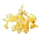 thumbnail image 1 of Figuras De Animales Marinos Modelo De Dragón Marino Manualidades Para Regalos De Cumpleaños Niños Pequeños Amarillo, 1 of 5